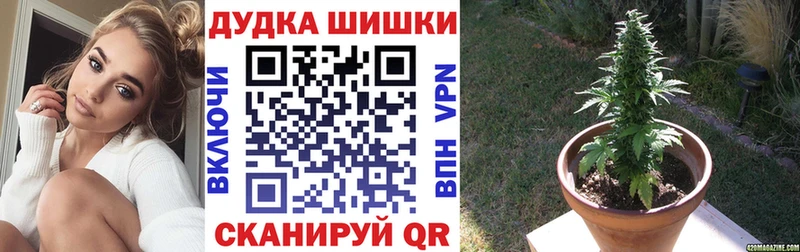 Марихуана OG Kush  Купить где  Анива 